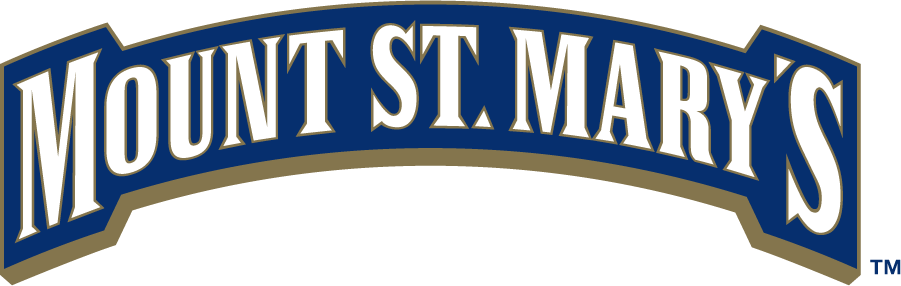 Mount St. Marys Mountaineers 2006-2016 Wordmark Logo DIY iron on transfer (heat transfer)